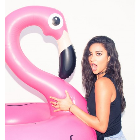 Photo Shay Mitchell