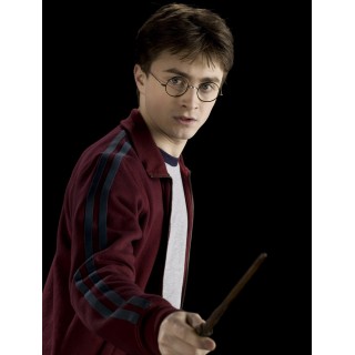 Photo Harry Potter